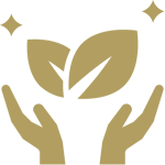 One-To-One-Support 