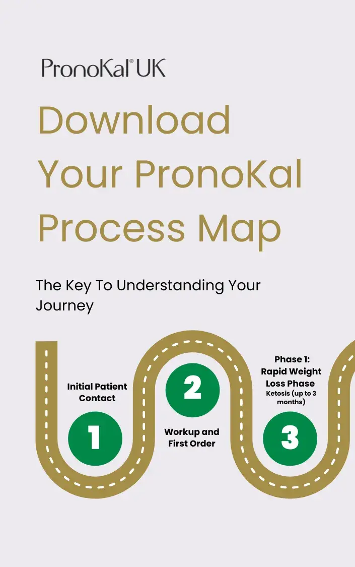 PronoKal-Process-Map-Cover-Landscape